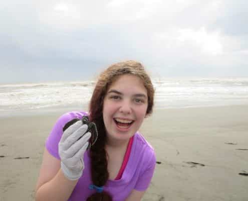 turtle-1