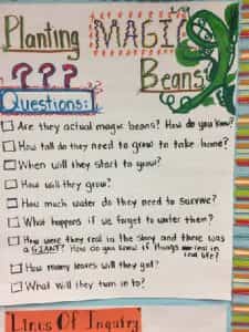 kindergarten questions